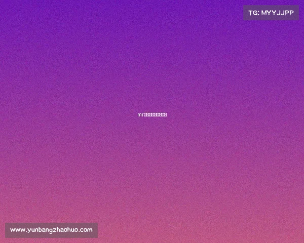 mr电竞俱乐部女子战队 mr电竞俱乐部女子战队